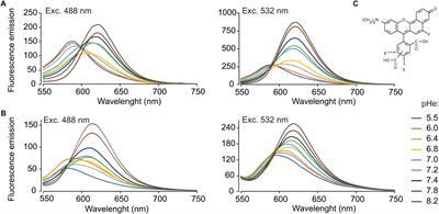 Quantitative Intracellular pH Determinations in Single Live Mammalian Spermatozoa Using the Ratiometric Dye SNARF-5F